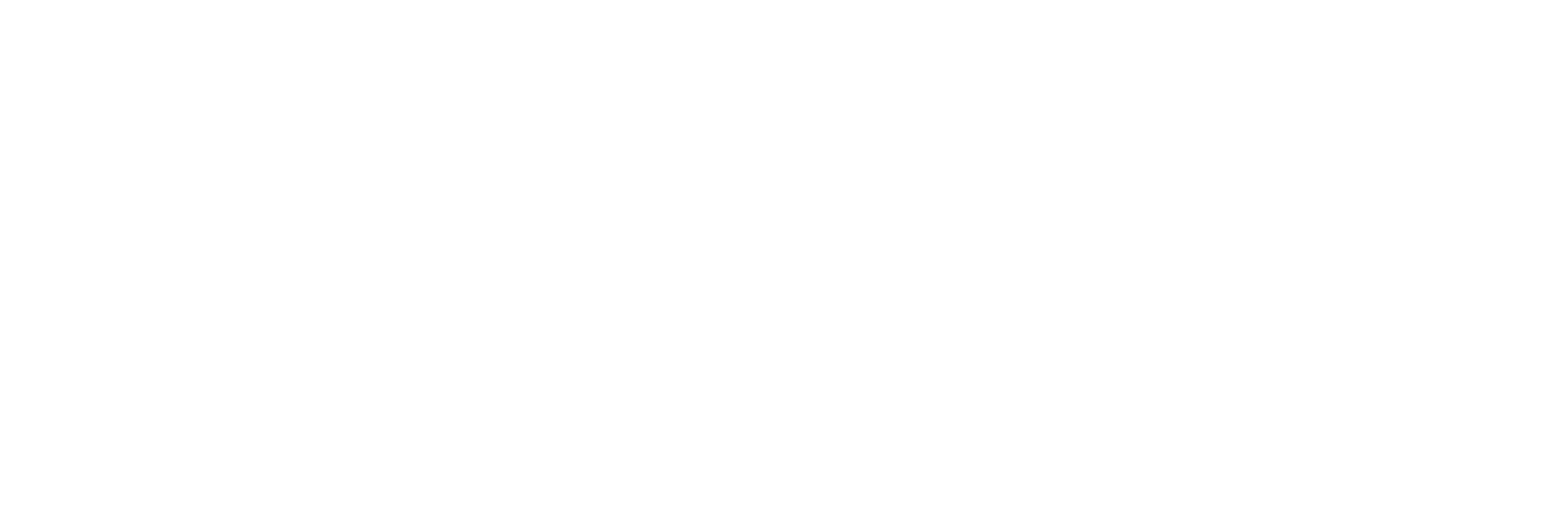 CIDSTEM PUCV
